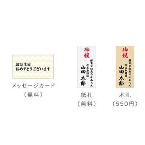 胡蝶蘭 ハイグレード 5本立 ピンク 送料無料...の詳細画像2