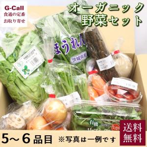 オーガニック野菜のセット S 5〜6品目 送料無料 健康 旬 詰合せ 冷蔵 有機 無農薬 長野県 つくば市 野菜 セット