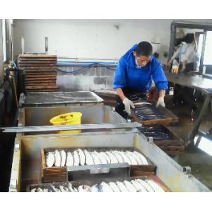 越田のさば 鯖の文化干し 特大サイズ 指定日不...の詳細画像3