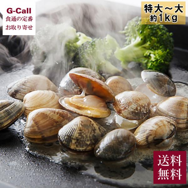 天助 国産ぷりぷり春あさり 特大〜大粒 約1kg 送料無料 アサリ あさり 魚介 貝 アサリのバター...