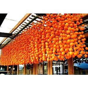 南信州菓子工房 市田柿ミルフィーユ 3本入り ...の詳細画像2
