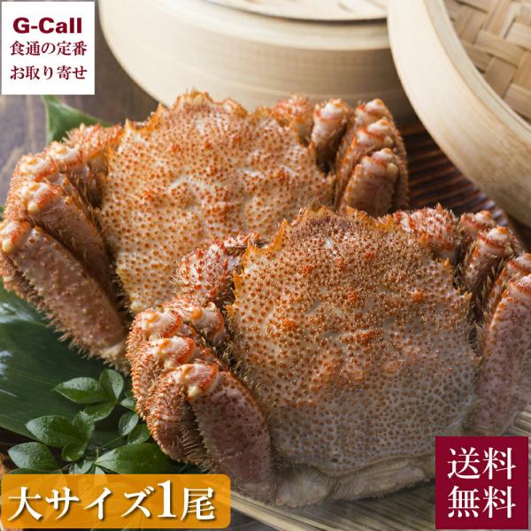 えりも食品 活蒸し毛蟹 大サイズ 1尾 計500g 送料無料 蟹 毛蟹 カニ かに 毛ガニ 脚 剥き...