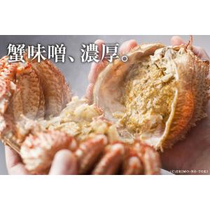 えりも食品 活蒸し毛蟹 大サイズ 2尾 計1k...の詳細画像3