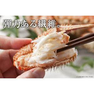 えりも食品 活蒸し毛蟹 大サイズ 2尾 計1k...の詳細画像5