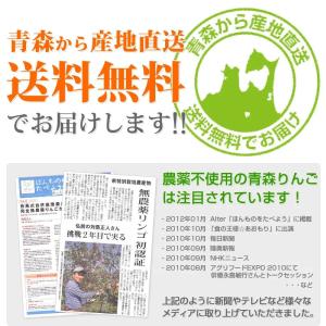 まっかなほんと 神々の林檎 720ml 1本 ...の詳細画像1