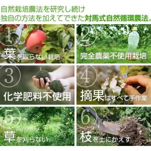 まっかなほんと 神々の林檎 720ml 1本 ...の詳細画像4