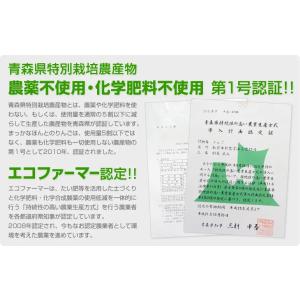 まっかなほんと 神々の林檎 720ml 1本 ...の詳細画像5
