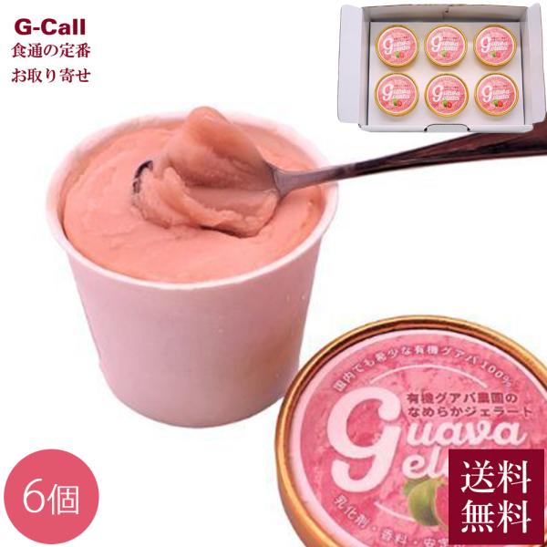 南国にしがわ農園 有機グアバ農園のなめらかジェラート 6個 送料無料 アイス アイスクリーム フルー...