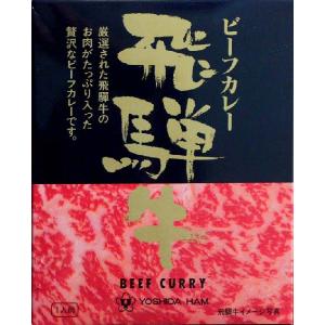 厳選「飛騨牛ビーフカレー」...
