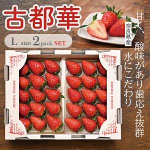 いちご 古都華 Lサイズ 奈良県産 苺 1粒 15g 21g 相当 1箱 2パック入り 美味しい 甘い Kotokal 1 G Farm 通販 Yahoo ショッピング