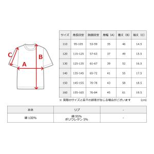 星のカービィ キッズ カービィ トリオ Tシャ...の詳細画像1