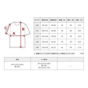ポケットモンスター ポケモン pokemon ...の詳細画像1