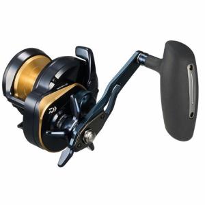 DAIWA（ダイワ） 25 ソルティガ 10HL-SJ 左ハンドル (2026年追加モデル