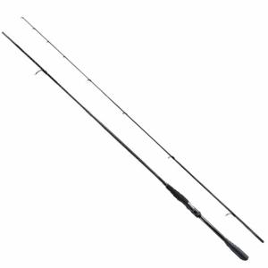 シマノ（SHIMANO） シーバスロッド 22エクスセンス ∞(インフィニティ
