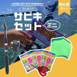Fish On 釣り雑誌 1999年 全12号セット　東海 PG入門ミニサビキ釣りセット180 東海オリジナル 夏の大感謝祭 : 東海