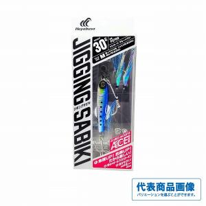 19 バリスティック LT2500SS-CXH ダイワ【【C】中古良品】 : グッド