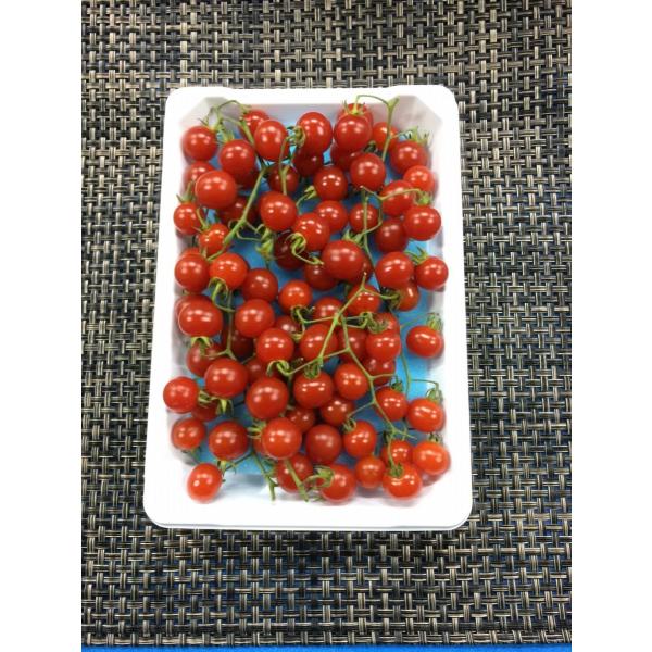 マイクロトマト 1pc  国産　