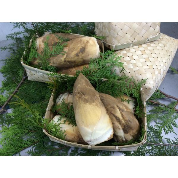 筍進物用　かご　１組