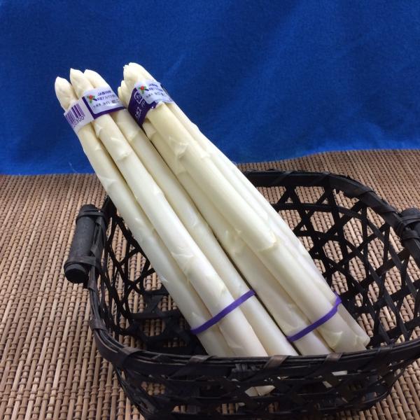 香川県産ホワイトアスパラ　１束（5本くくり）