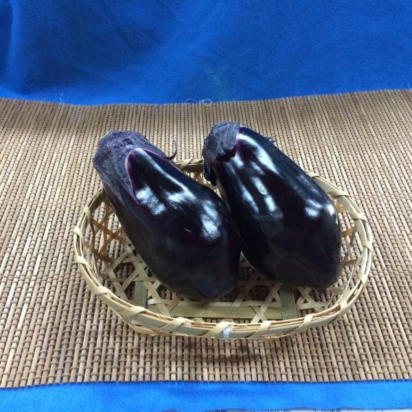 大阪泉州　水茄子　3ヶ　
