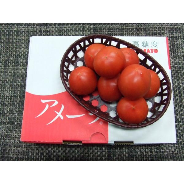 アメーラ 1ケース