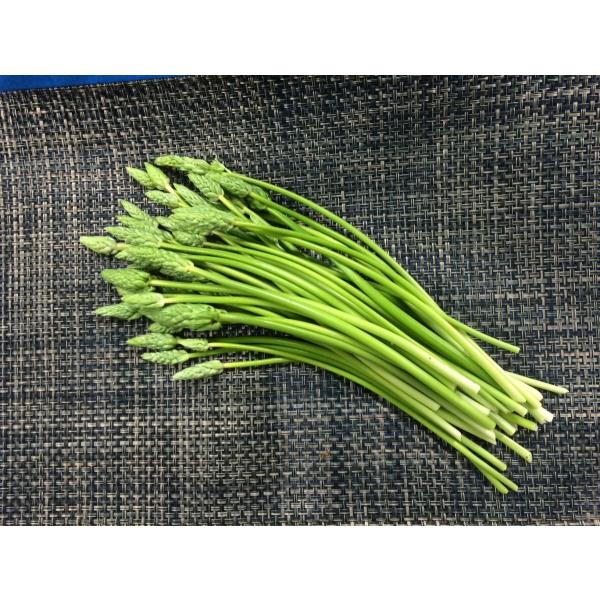 アスパラソバージュ 1pc 大 国産