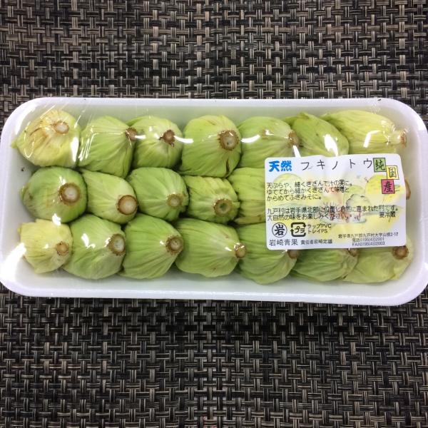 ふきのとう　　国産　１pc