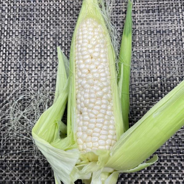 ホイップコーン　　１本