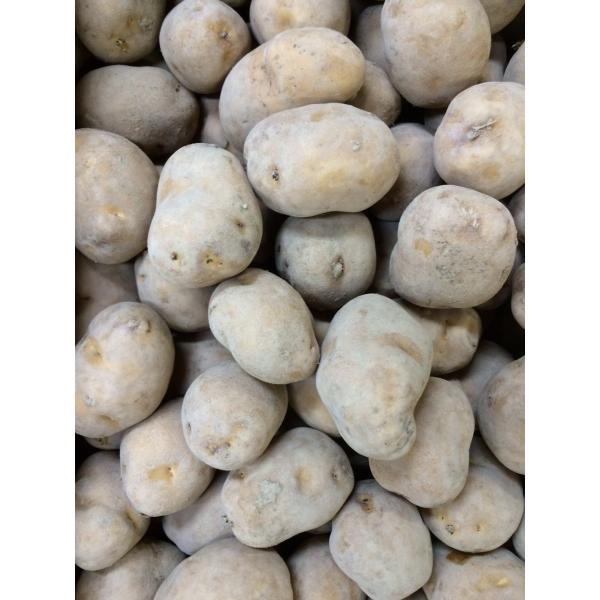 インカのめざめ　１ｋｇ