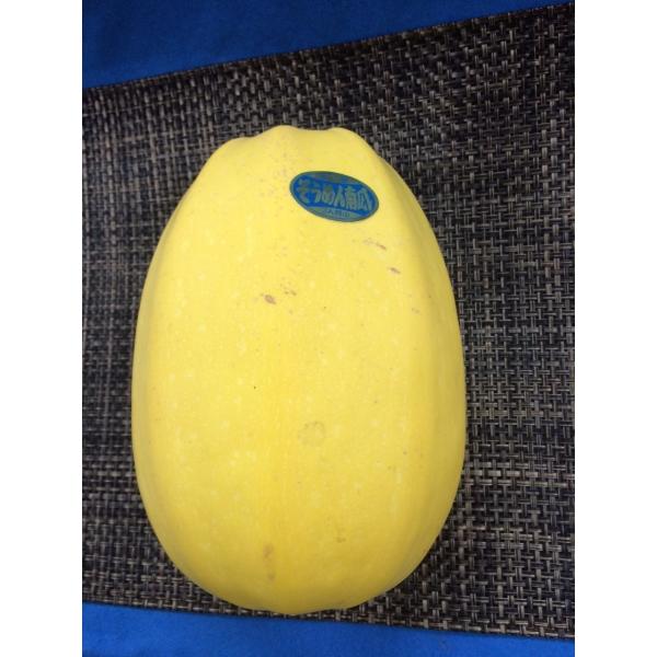 糸瓜(そうめんかぼちゃ）