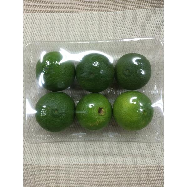 かぼす　大分県産　秀品M　６入り