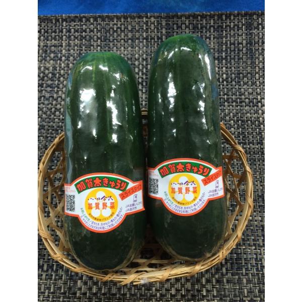 加賀太きゅうり 1本