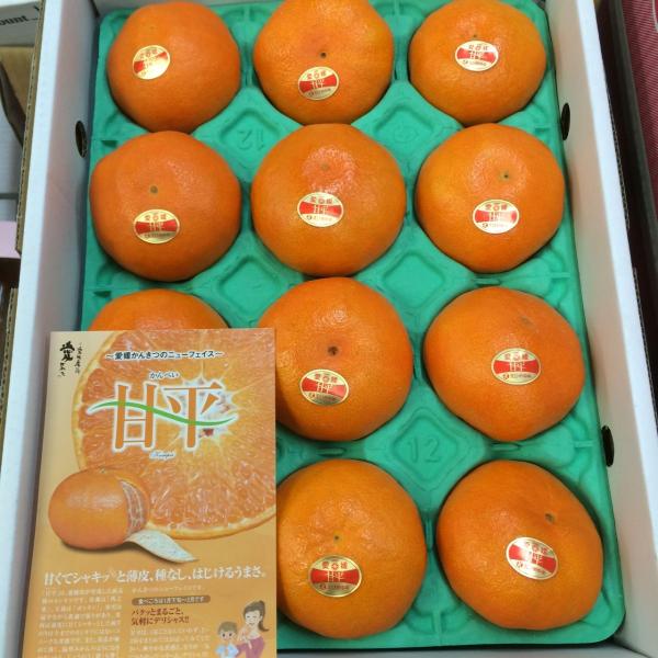 甘　平　２L　秀品　１ケース　愛媛県産