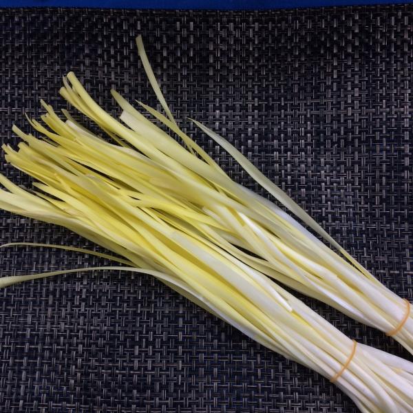 黄にら　岡山県産　１ケース