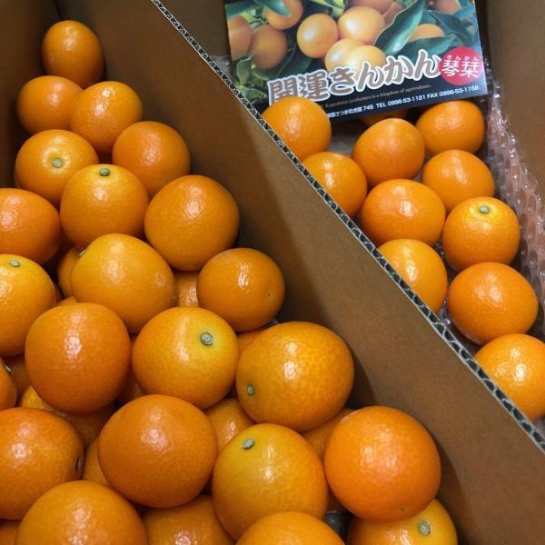 金柑ステビア栽培 300g　鹿児島県産　2L　