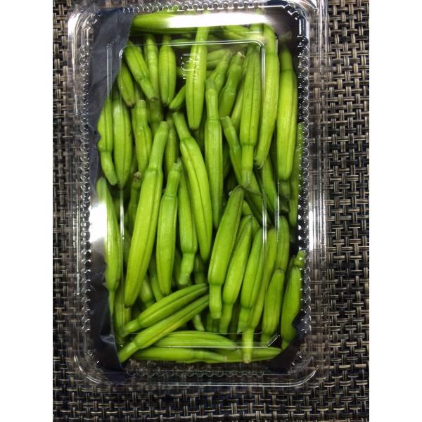 金針菜　１pc(約240ｇ）