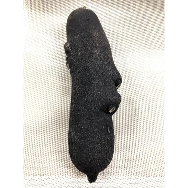 黒大根　長崎県産