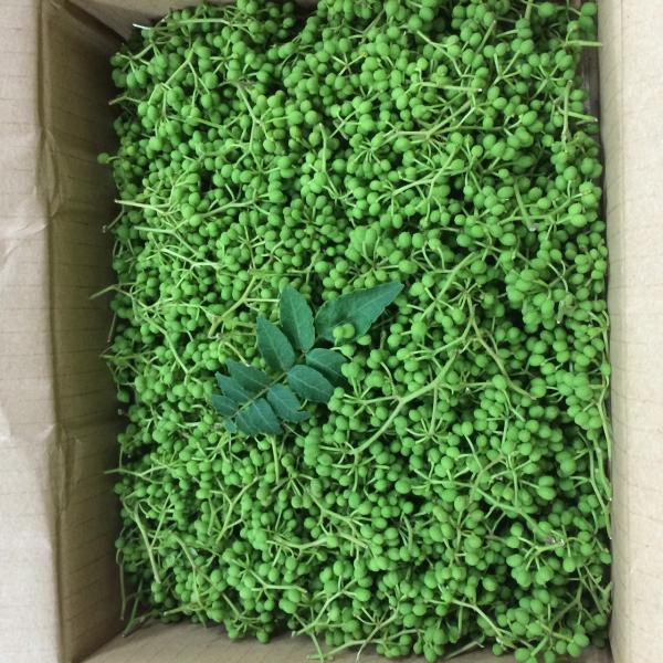 実山椒　あさくら　和歌山・高知県産