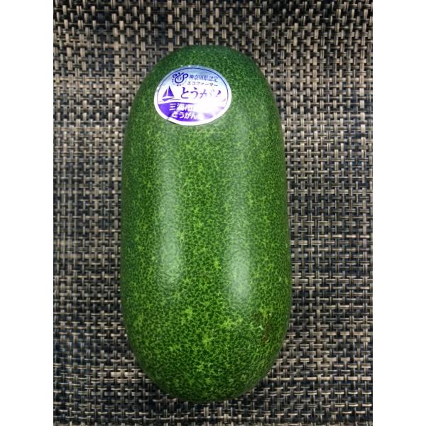 ミニ冬瓜　１玉　国産