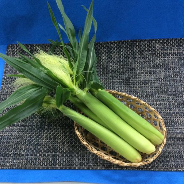 皮付きヤングコーン　国産　10本入り　