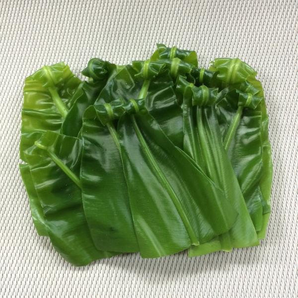 オオタニワタリの新芽 1pc