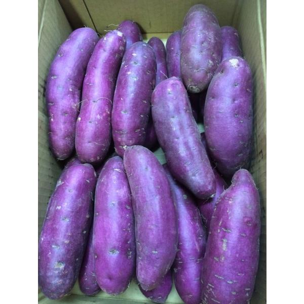 パープルスウィートロード　１ケース5kg