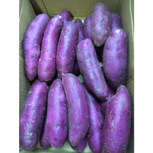 パープルスウィートロード　1kg