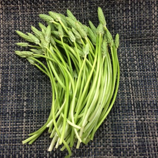 フランス産　アスパラソバージュ 1pc