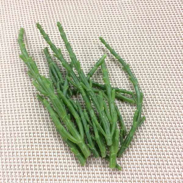 シーアスパラガス　１pc　国産他