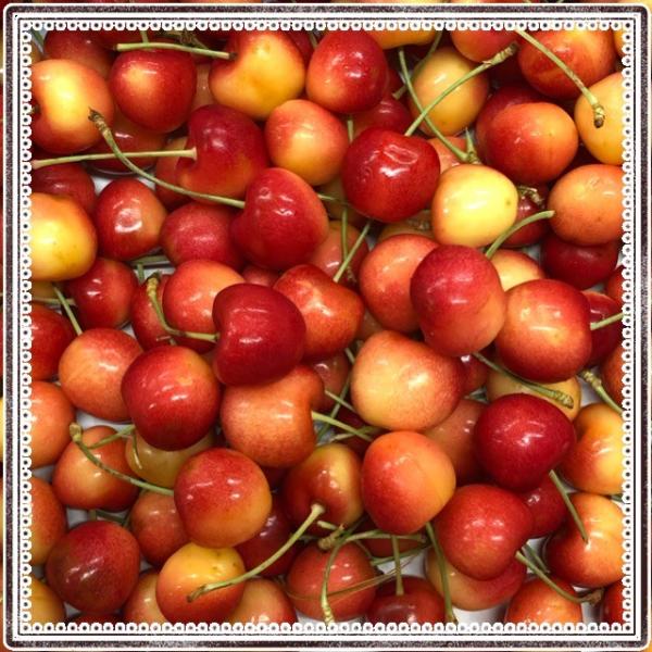 スカイラーレイチェリーワシントン州産  200ｇ