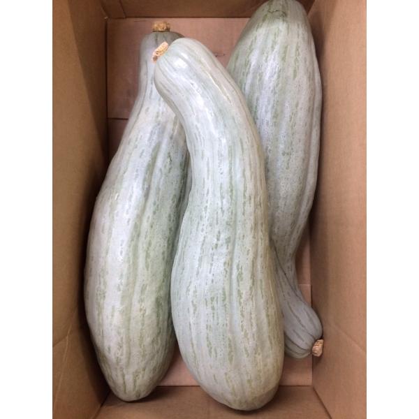 宿儺かぼちゃ 3kg〜　飛騨高山　１個