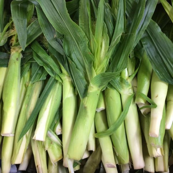 ホイップコーンの皮付きヤング　国産　10本入り　