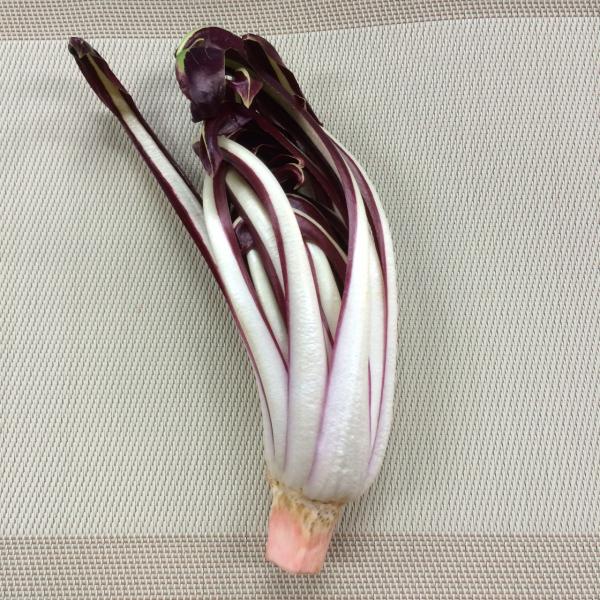 トレビソ・タルディーボ　国産　１pc