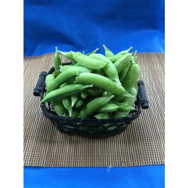 和歌山県産　うすいエンドウ 500ｇ